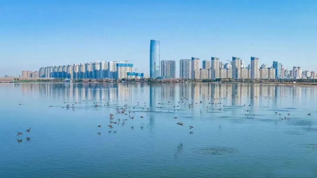 1699493209115738.jpg 640.jpg